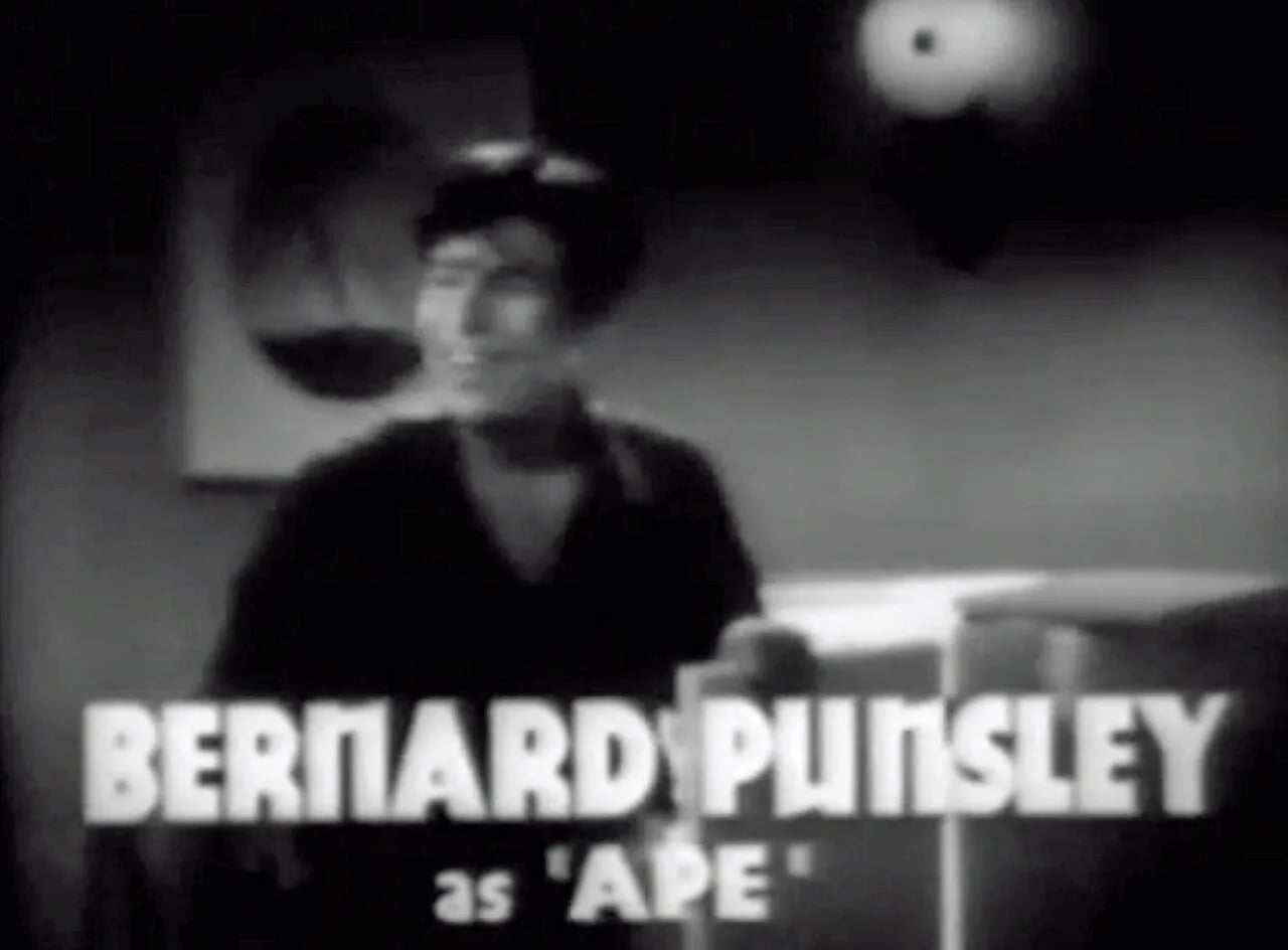 Porträt von Bernard Punsly (1923–2004) – Gedenkseite