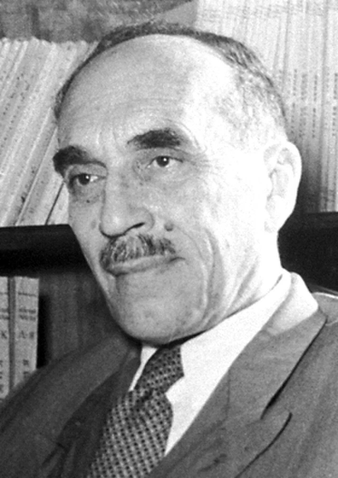 Portrait of Nikolai Nikolajewitsch Semjonow (1896–1986) – memorial page