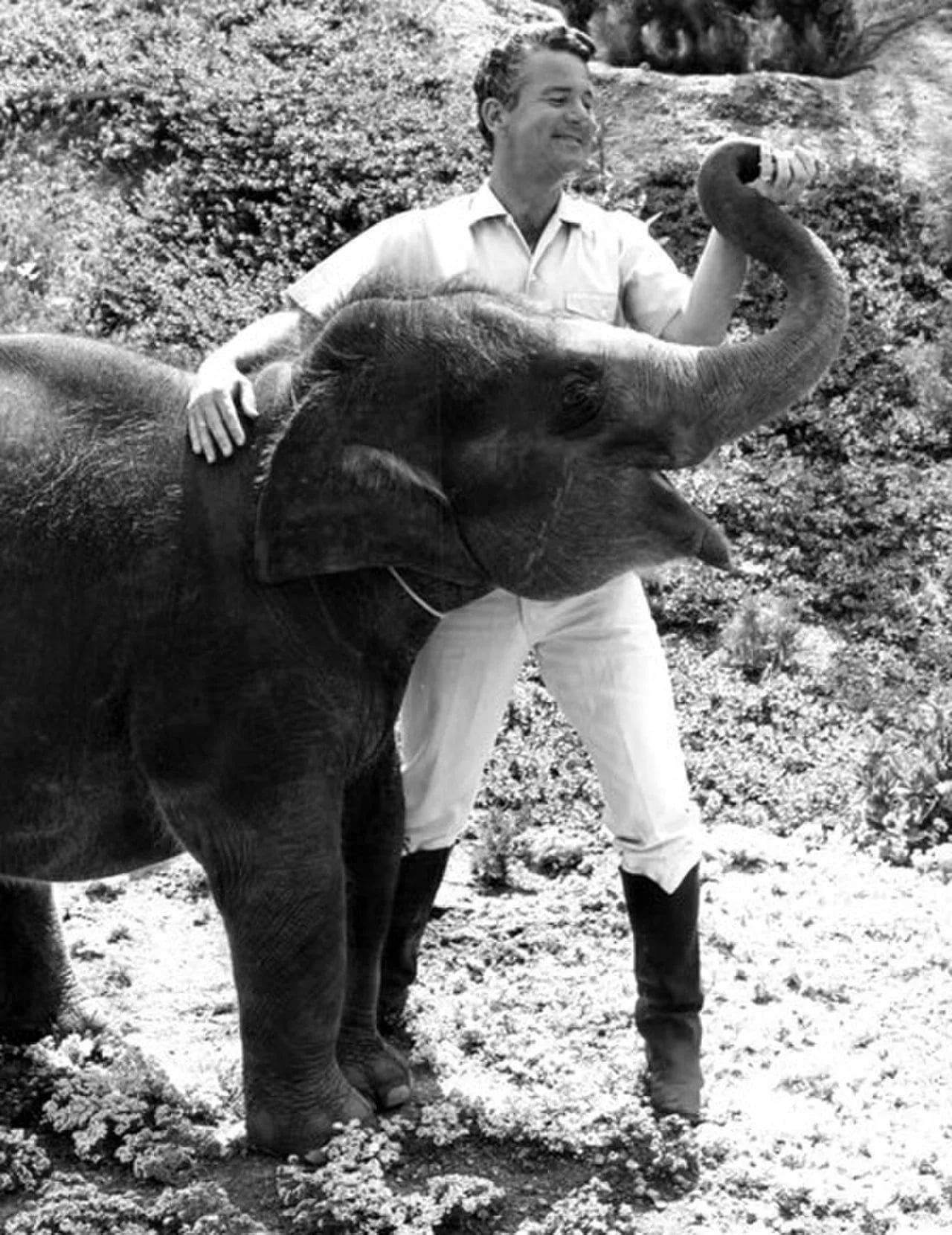 Porträt von Bill Burrud (1925–1990) – Gedenkseite