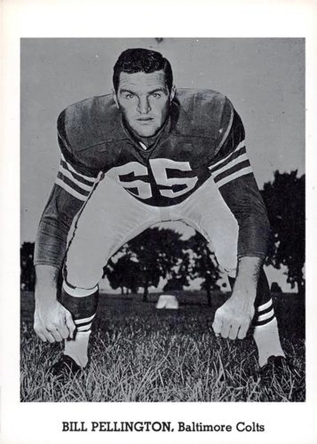 Portrait of Bill Pellington (1927–1994) – memorial page