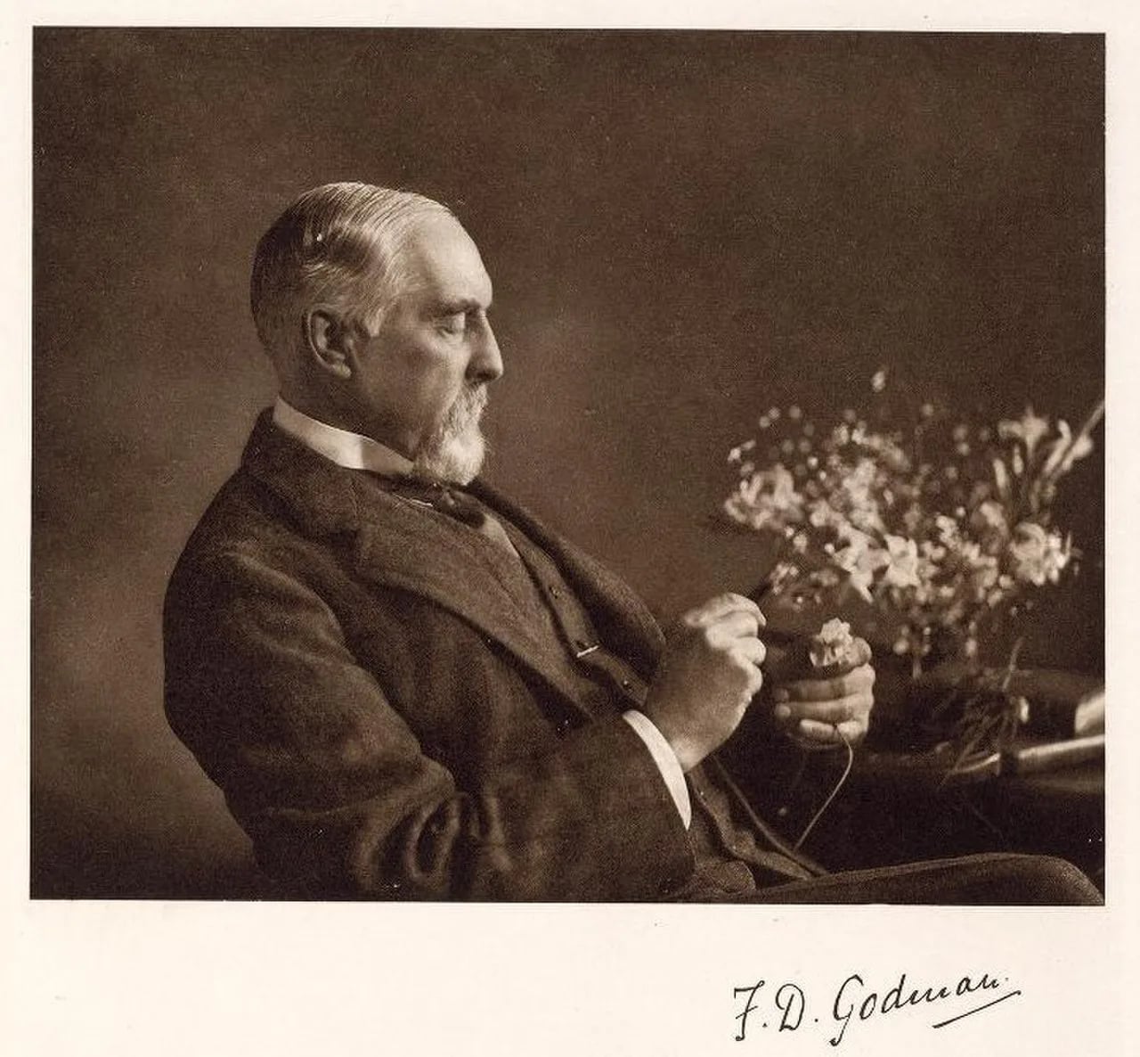 Portrait of Frederick DuCane Godman (1834–1919) – memorial page