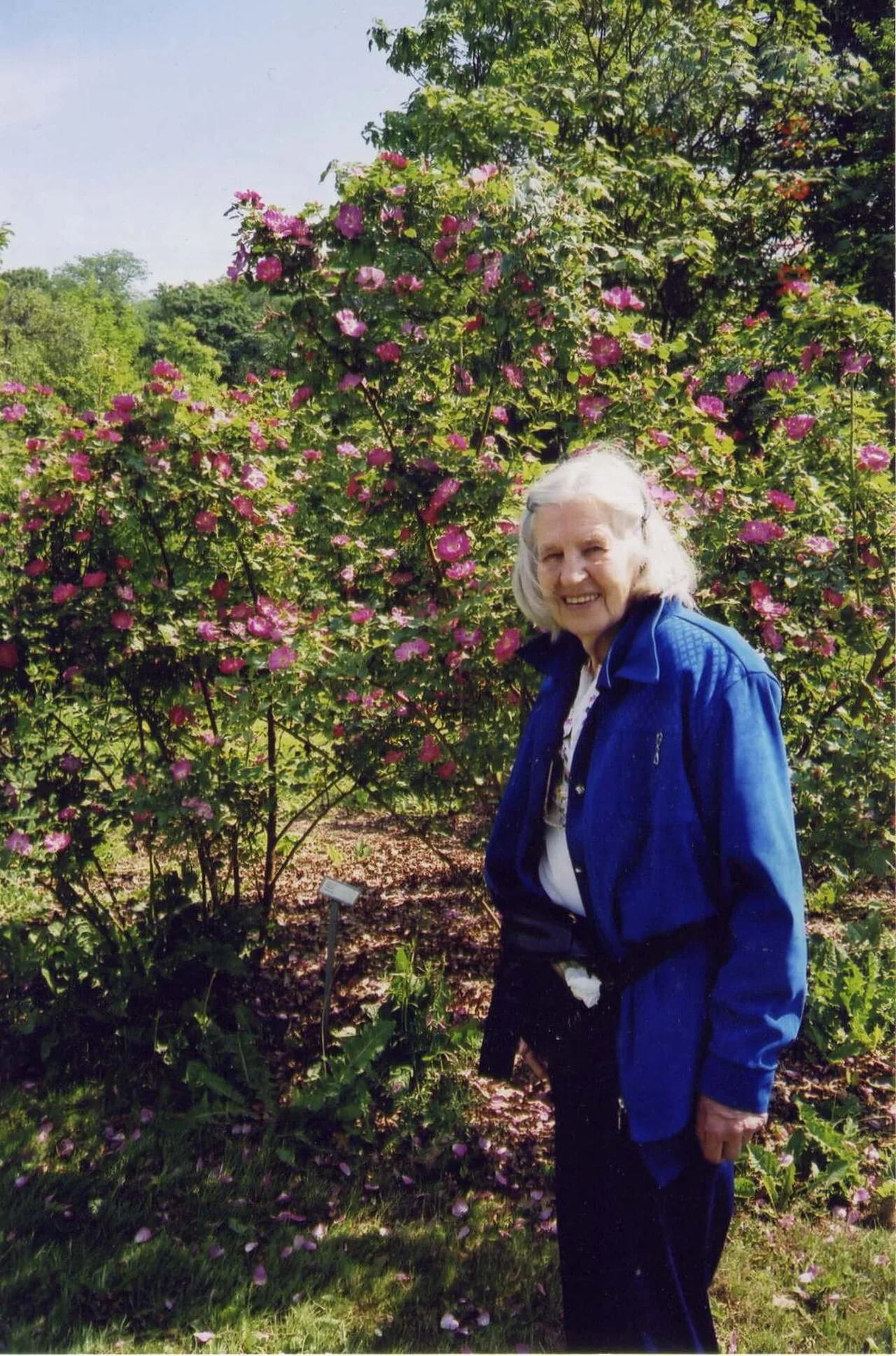 Porträt von Olga Dahl (1917–2009) – Gedenkseite