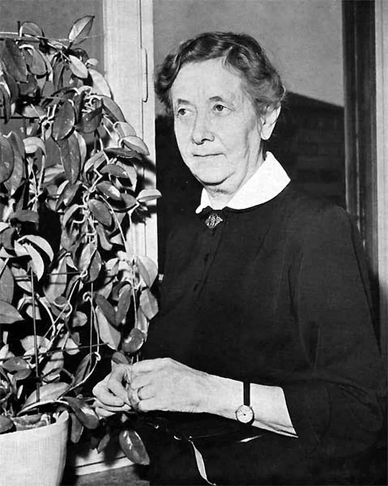 Porträt von Gertrud Lilja (1887–1984) – Gedenkseite