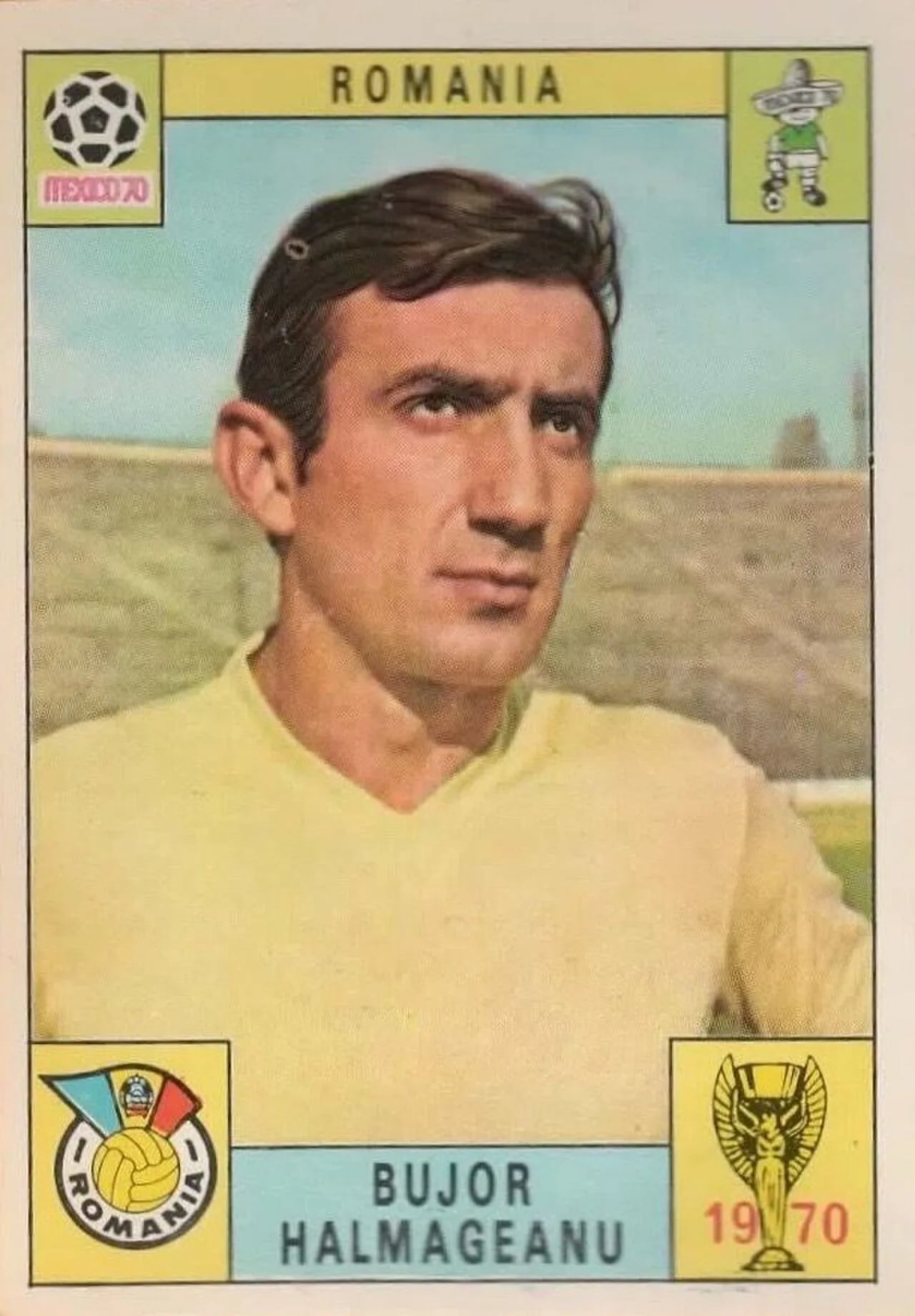 Porträt von Bujor Hălmăgeanu (1941–2018) – Gedenkseite
