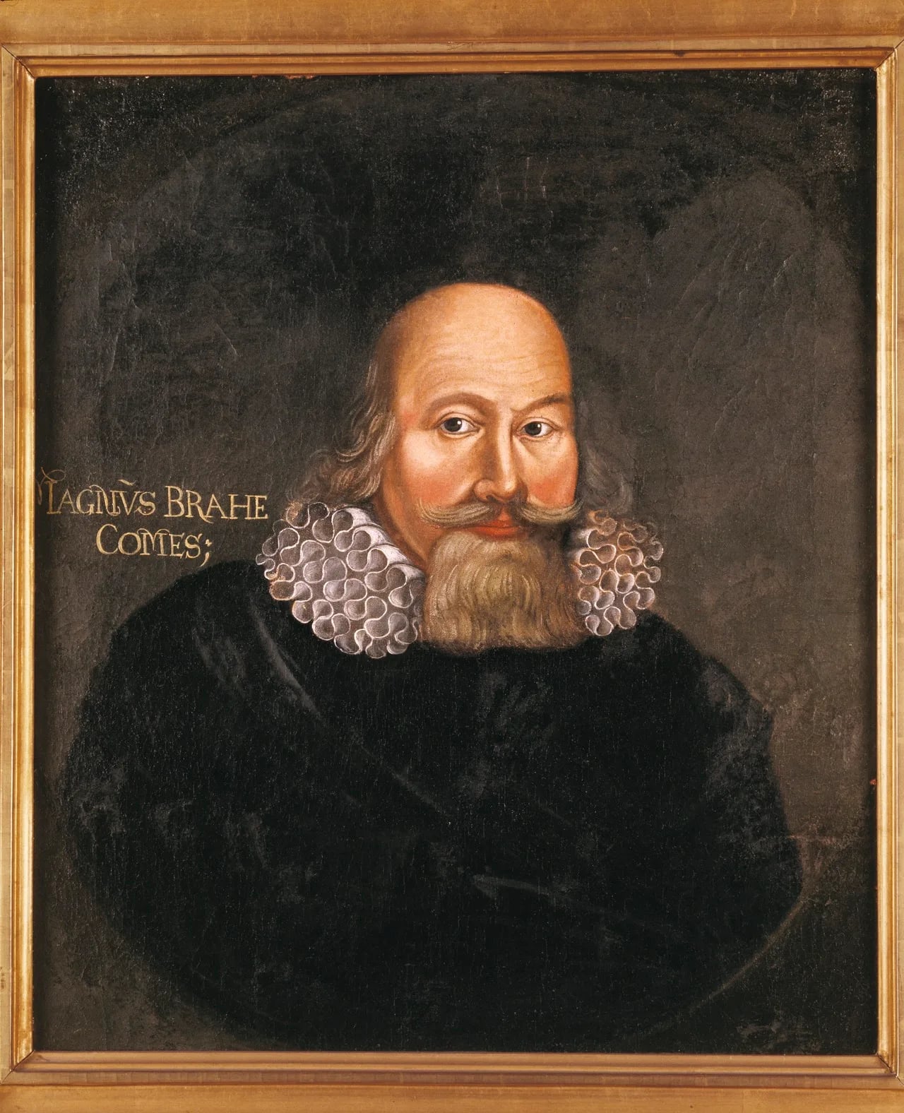 Portrait of Magnus Brahe (1564–1633) – memorial page