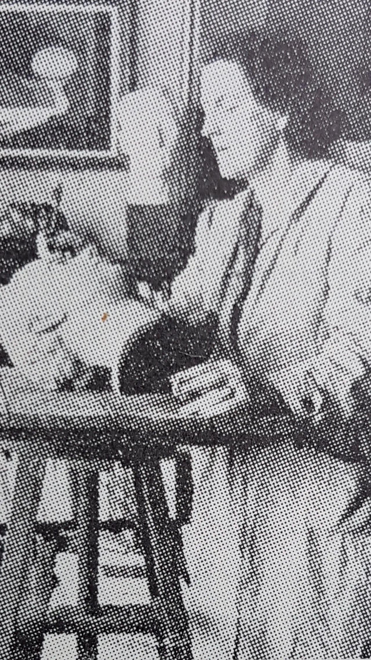 Porträt von Sophie-Louise Wachtmeister (1886–1974) – Gedenkseite