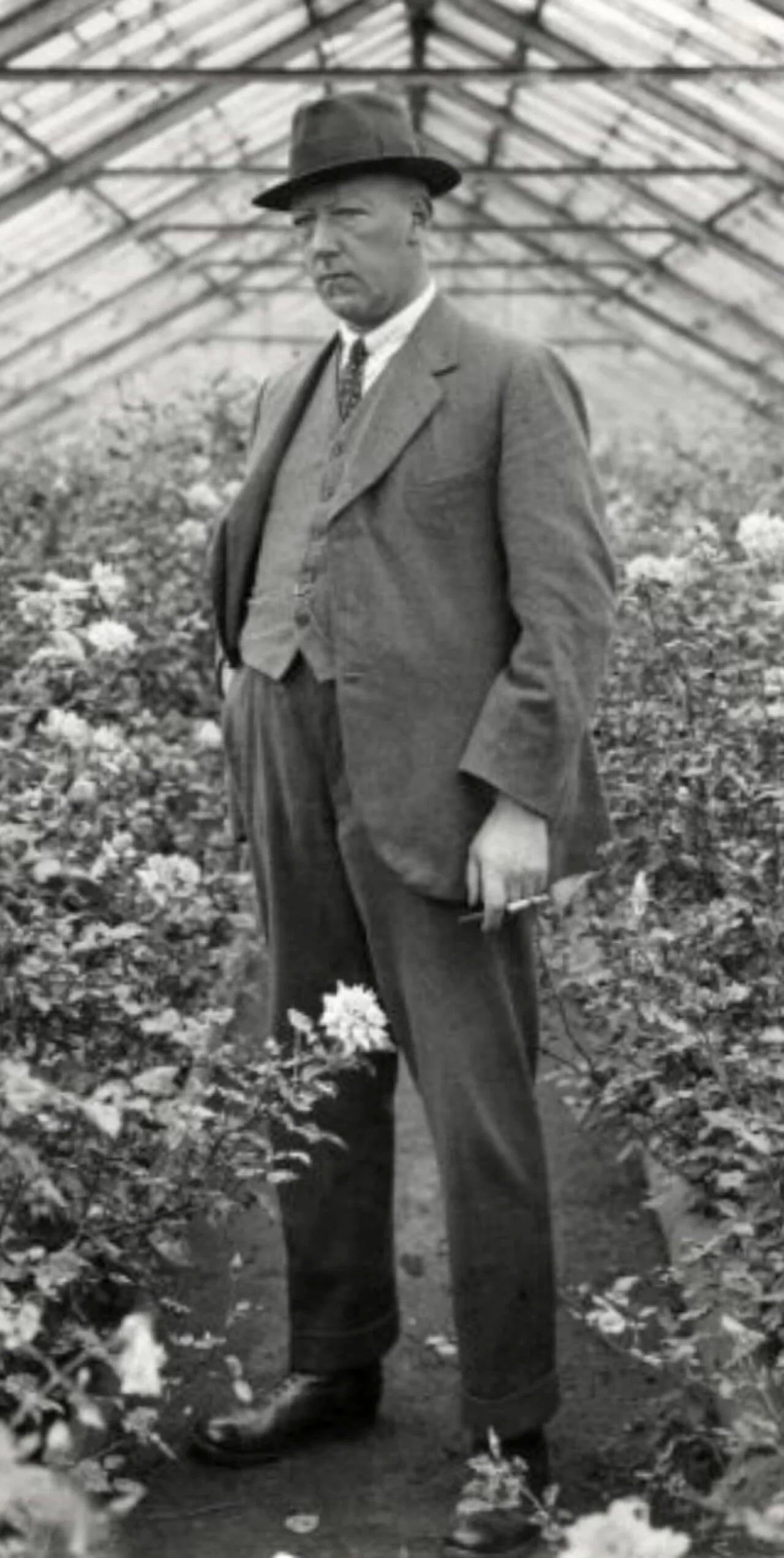 Portrait of Carst Posthuma (1868–1939) – memorial page