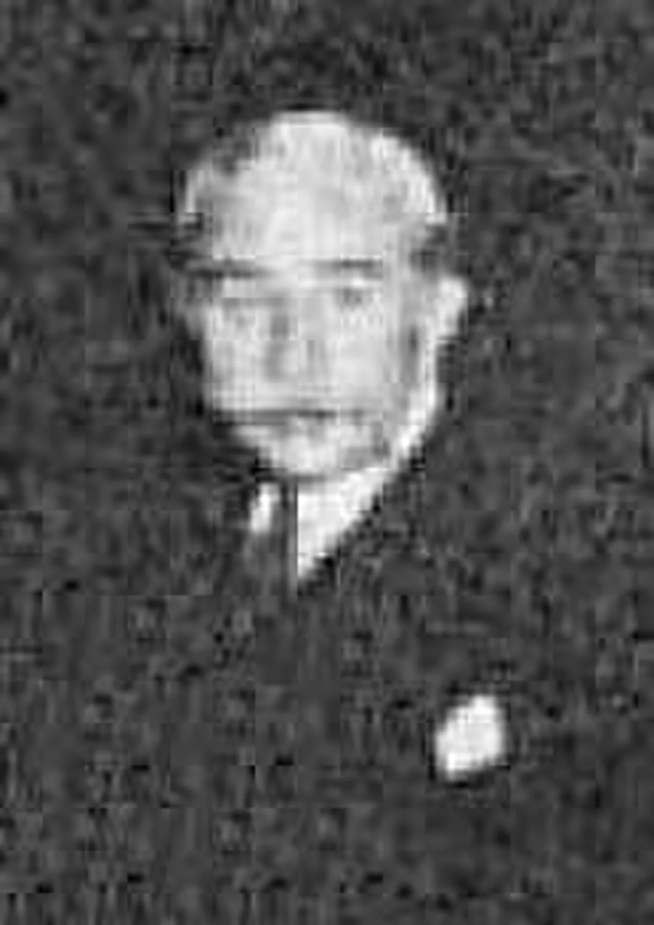 Porträt von Henri Wallet (1850–1926) – Gedenkseite