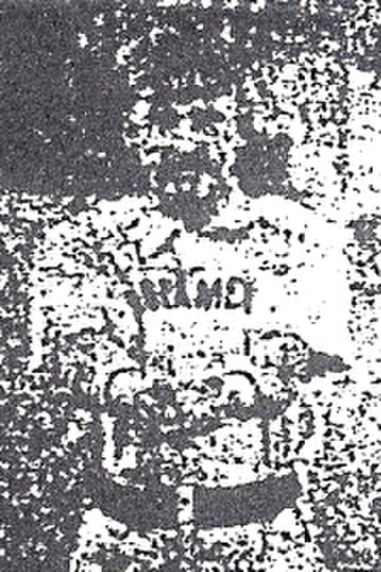 Portrait of Charlie Krehmeyer (1863–1926) – memorial page