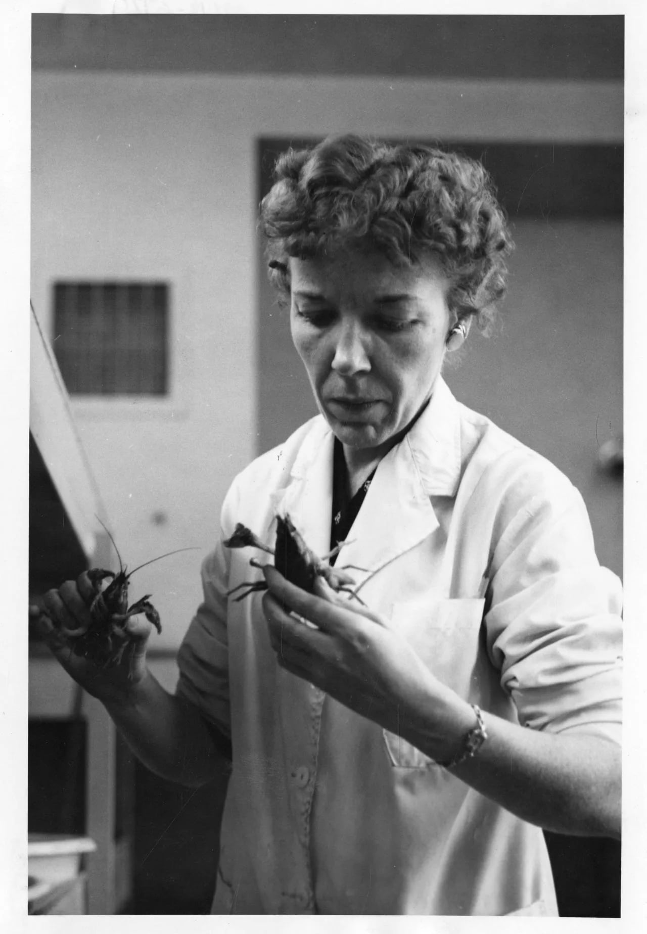 Porträt von Mary Alice McWhinnie (1922–1980) – Gedenkseite