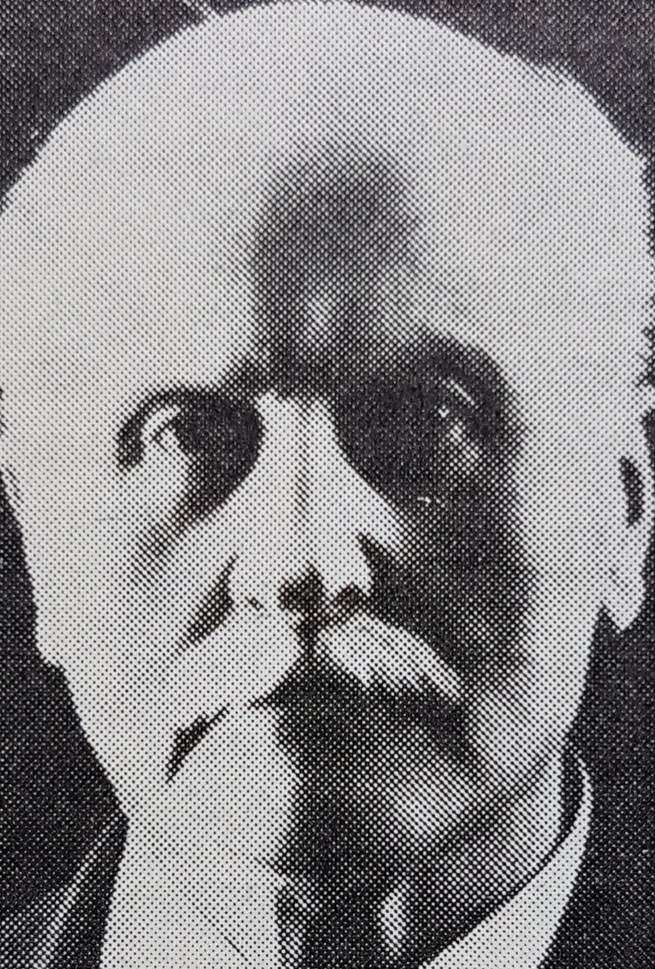 Porträt von Hilder Werner (1841–1913) – Gedenkseite