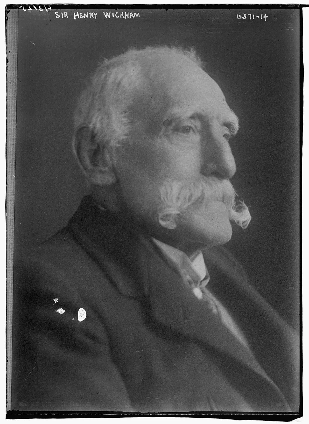 Porträt von Henry Wickham (1846–1928) – Gedenkseite