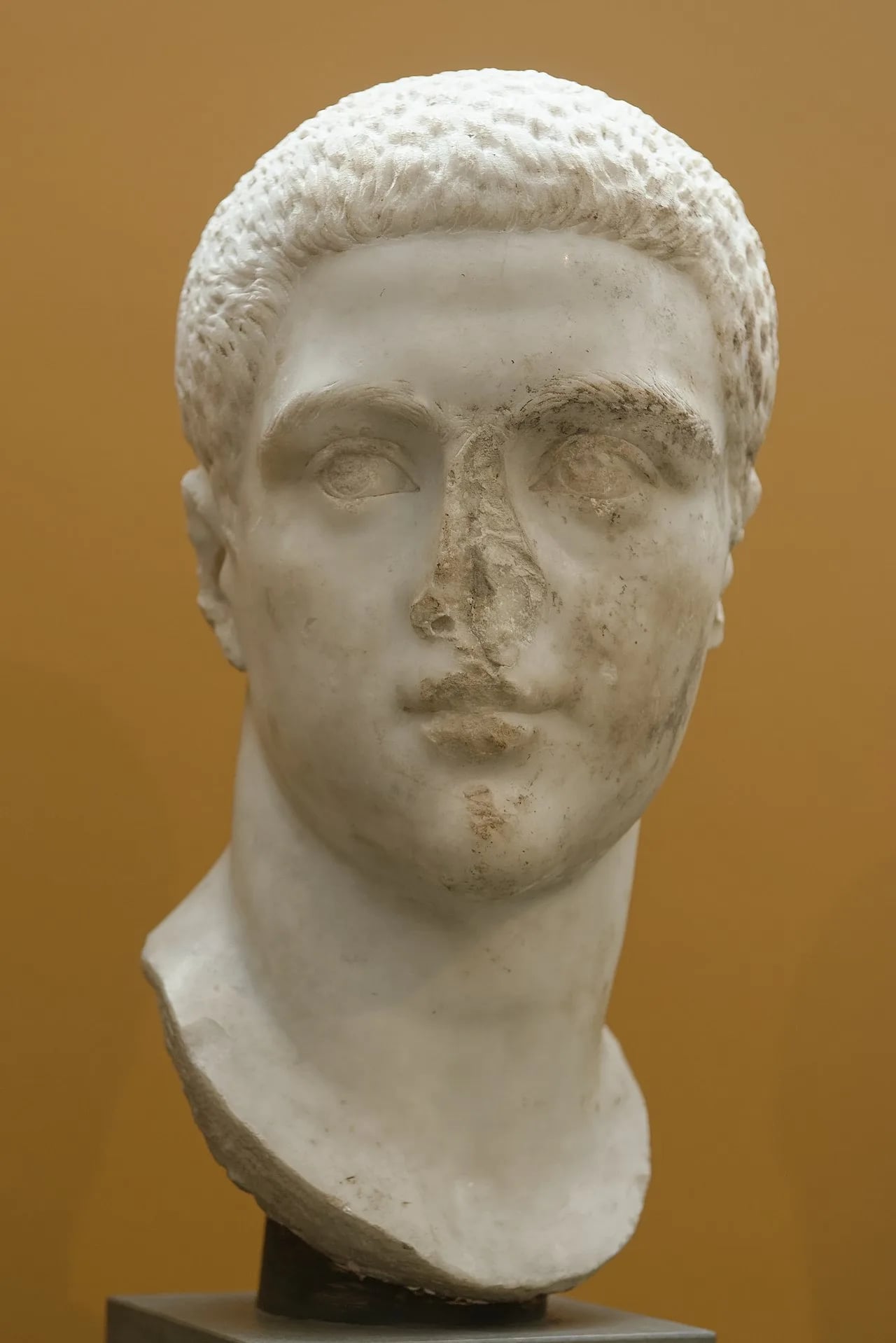 Portrait of Maximus Caesar (216–238) – memorial page