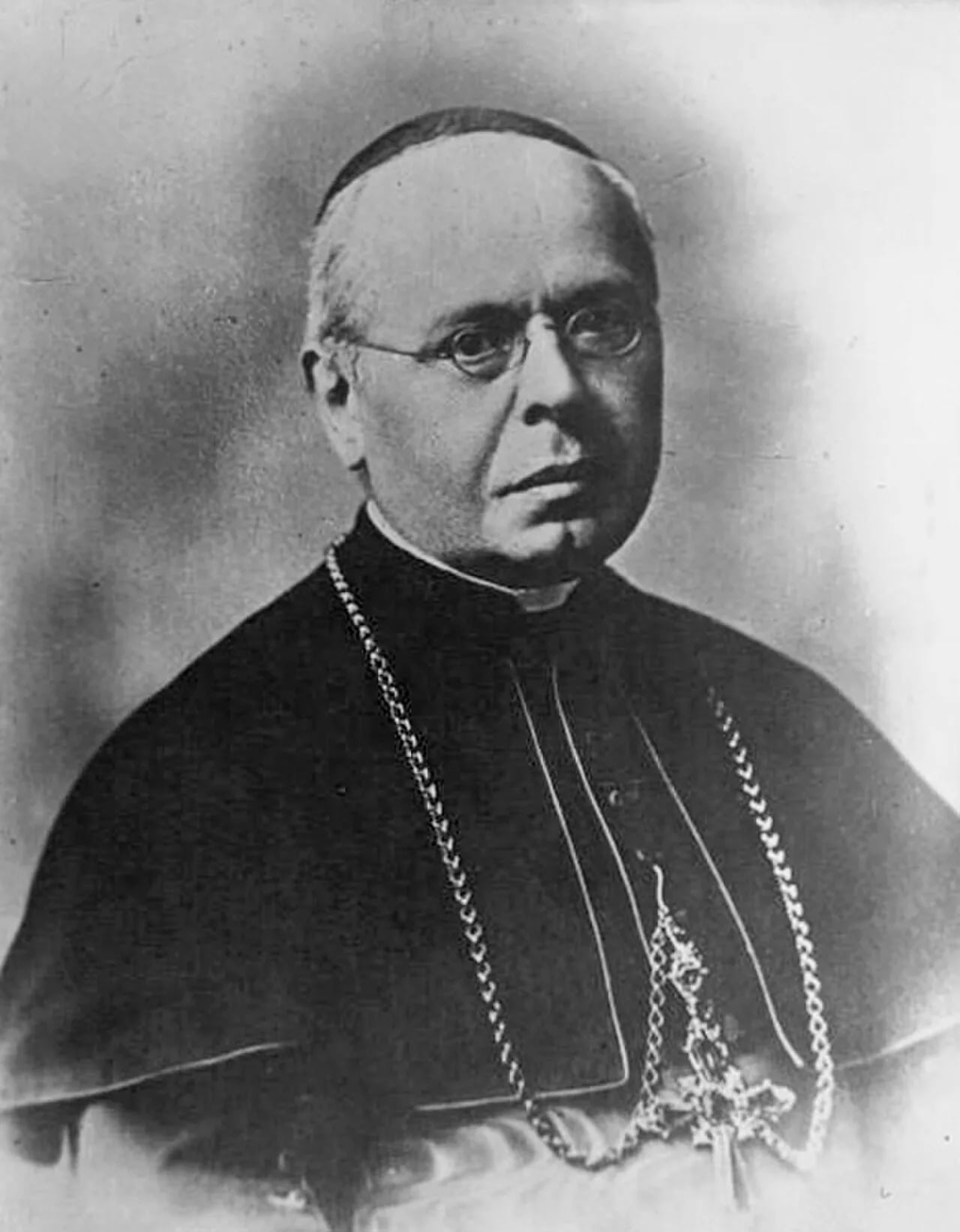 Portrait of Antonio Vico (1847–1929) – memorial page