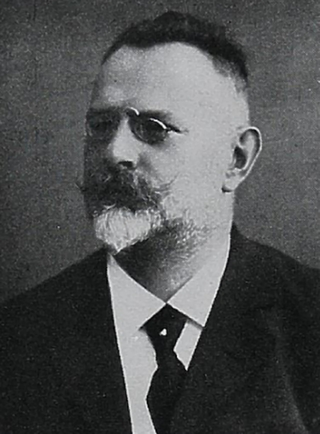 Porträt von Georg Michaelis (1852–1912) – Gedenkseite