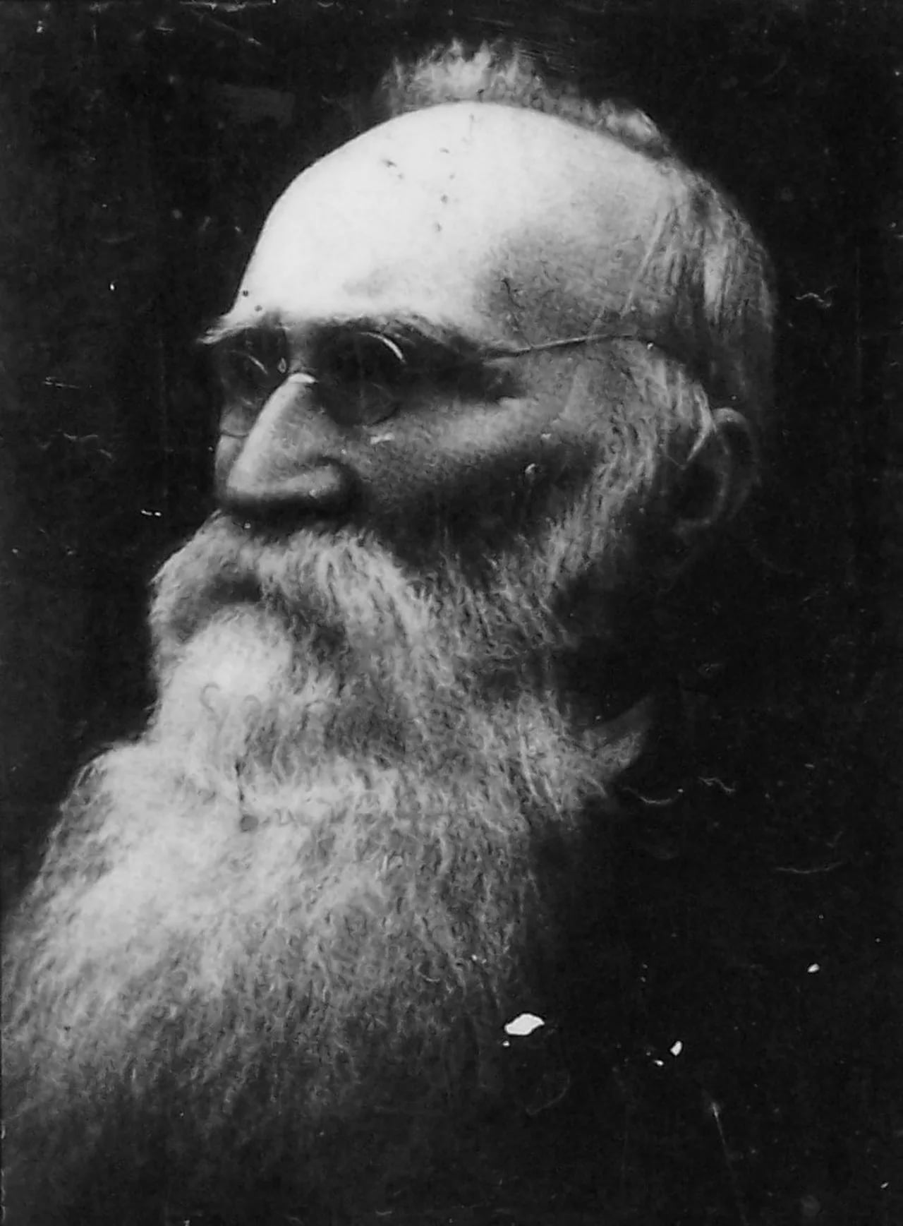 Portrait of Daniel McGilvary (1828–1911) – memorial page