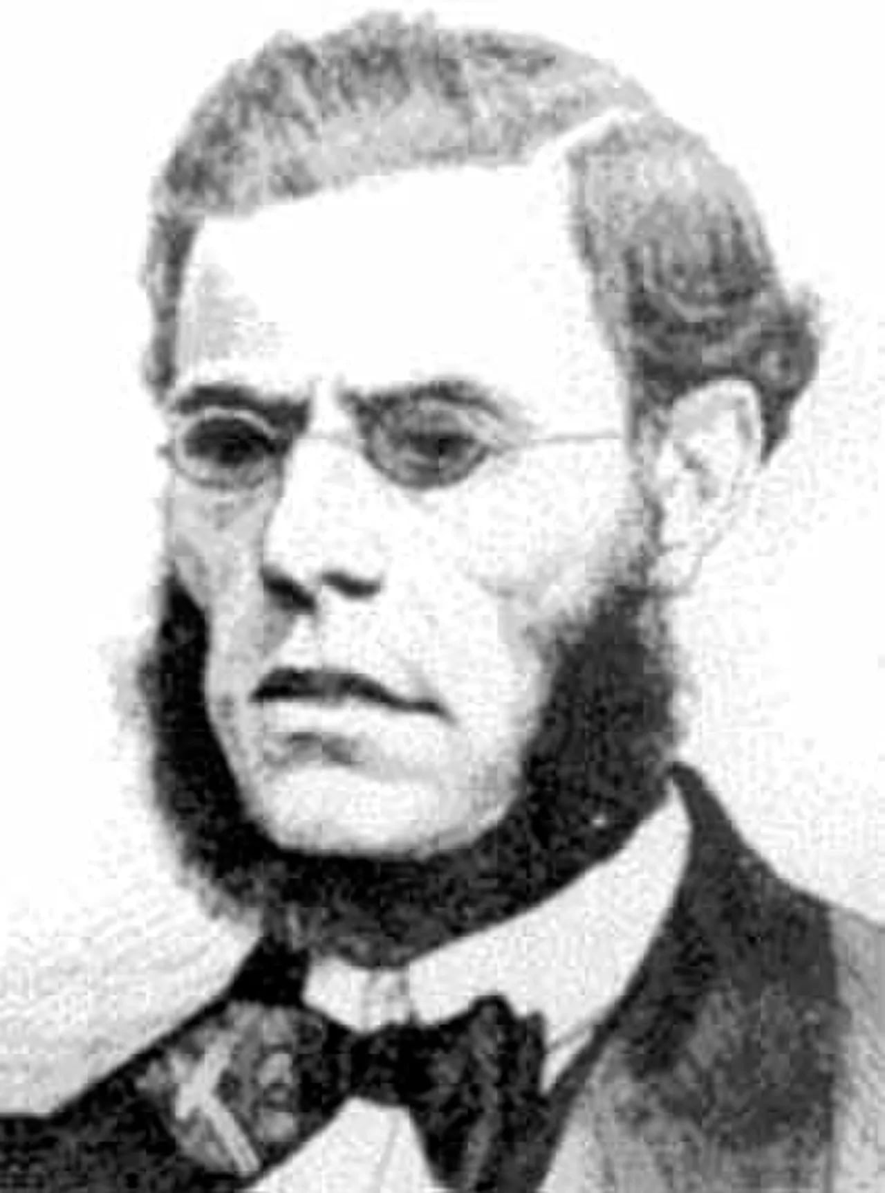 Portrait of Daniel da Silva (1814–1878) – memorial page