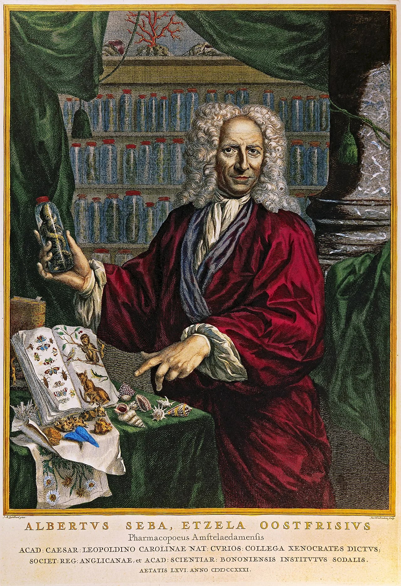 Porträt von Albert Seba (1665–1736) – Gedenkseite