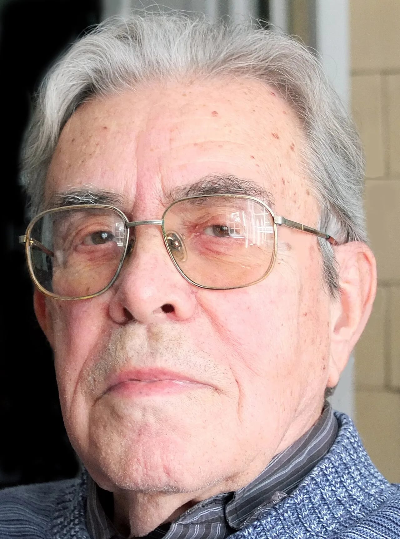 Porträt von Dejan Despić (1930–2024) – Gedenkseite