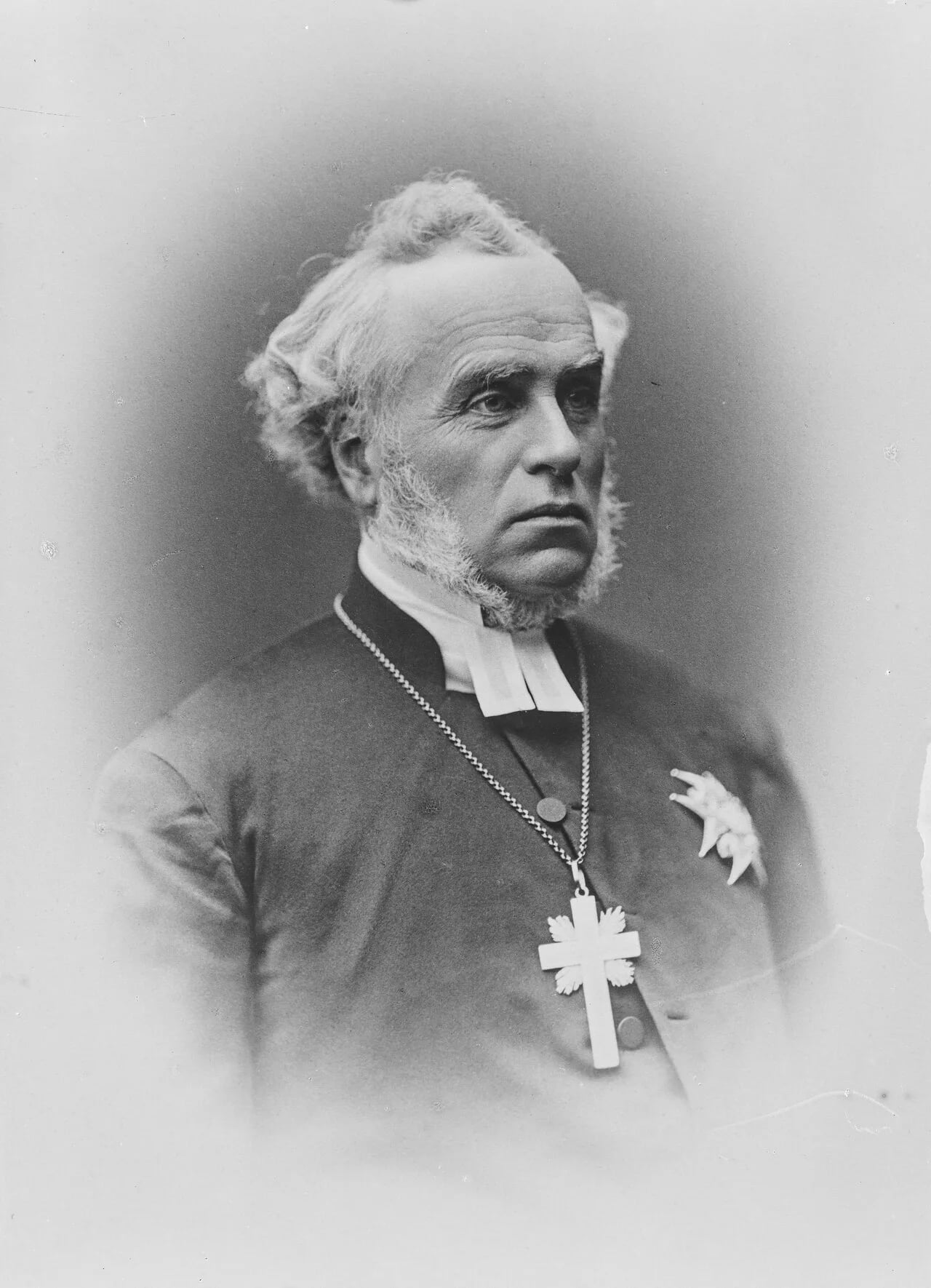 Porträt von Anton Niklas Sundberg (1818–1900) – Gedenkseite
