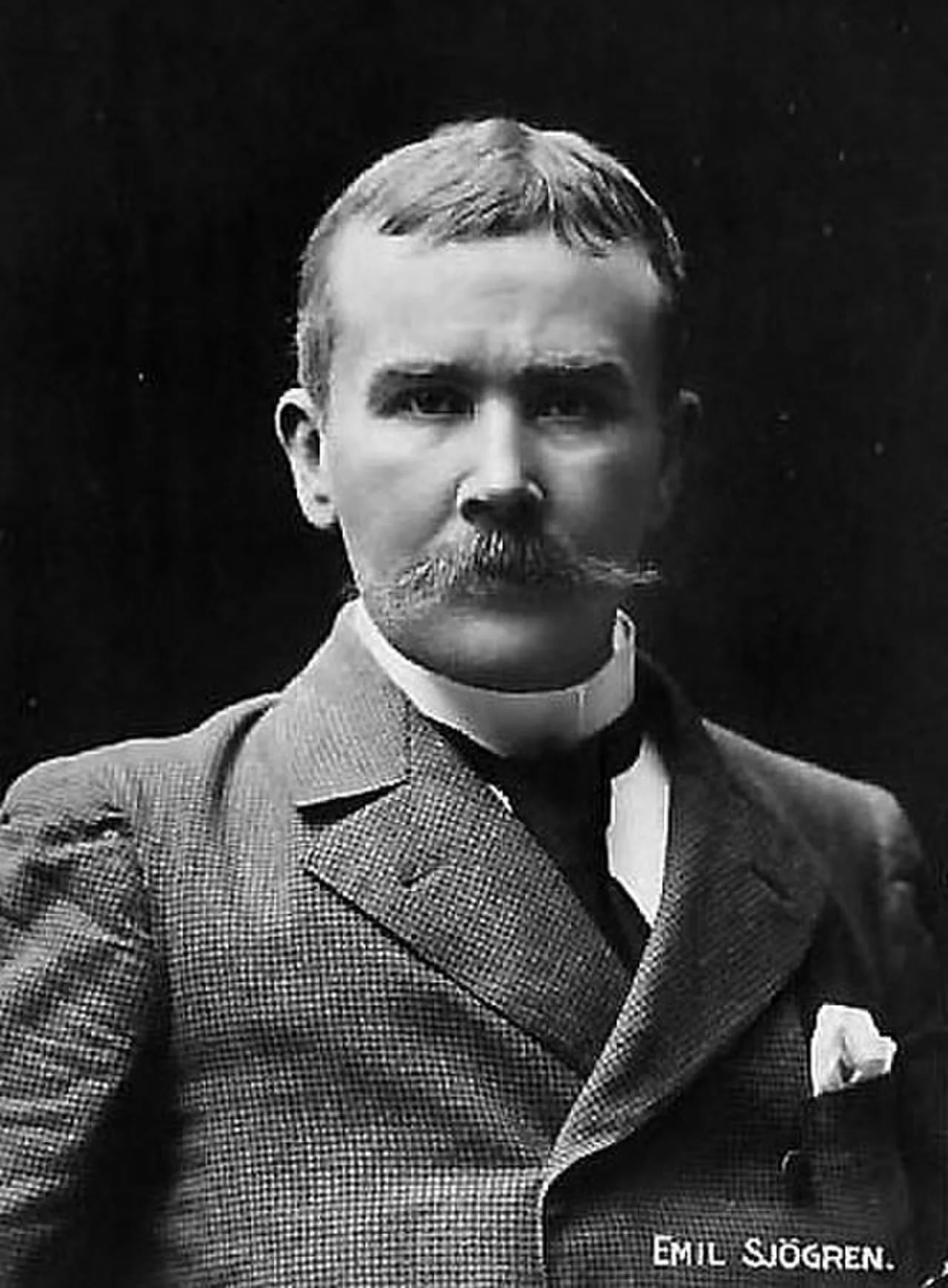 Porträt von Emil Sjögren (1853–1918) – Gedenkseite