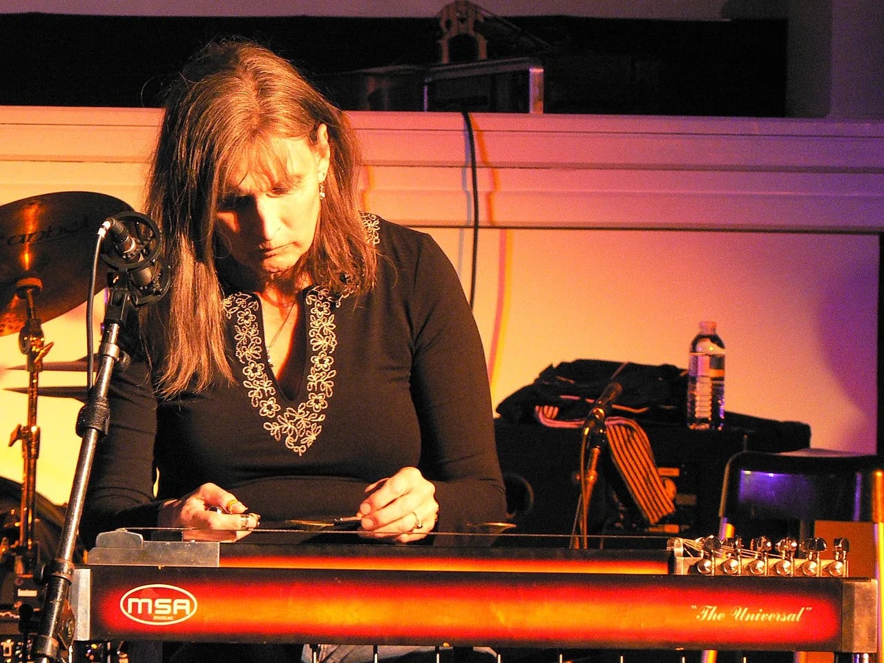 Porträt von Susan Alcorn (1953–2025) – Gedenkseite
