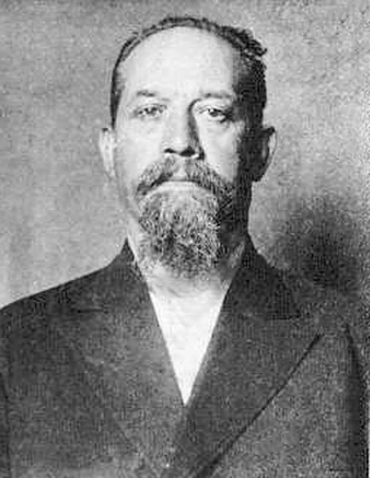 Porträt von Luigi Galleani (1861–1931) – Gedenkseite