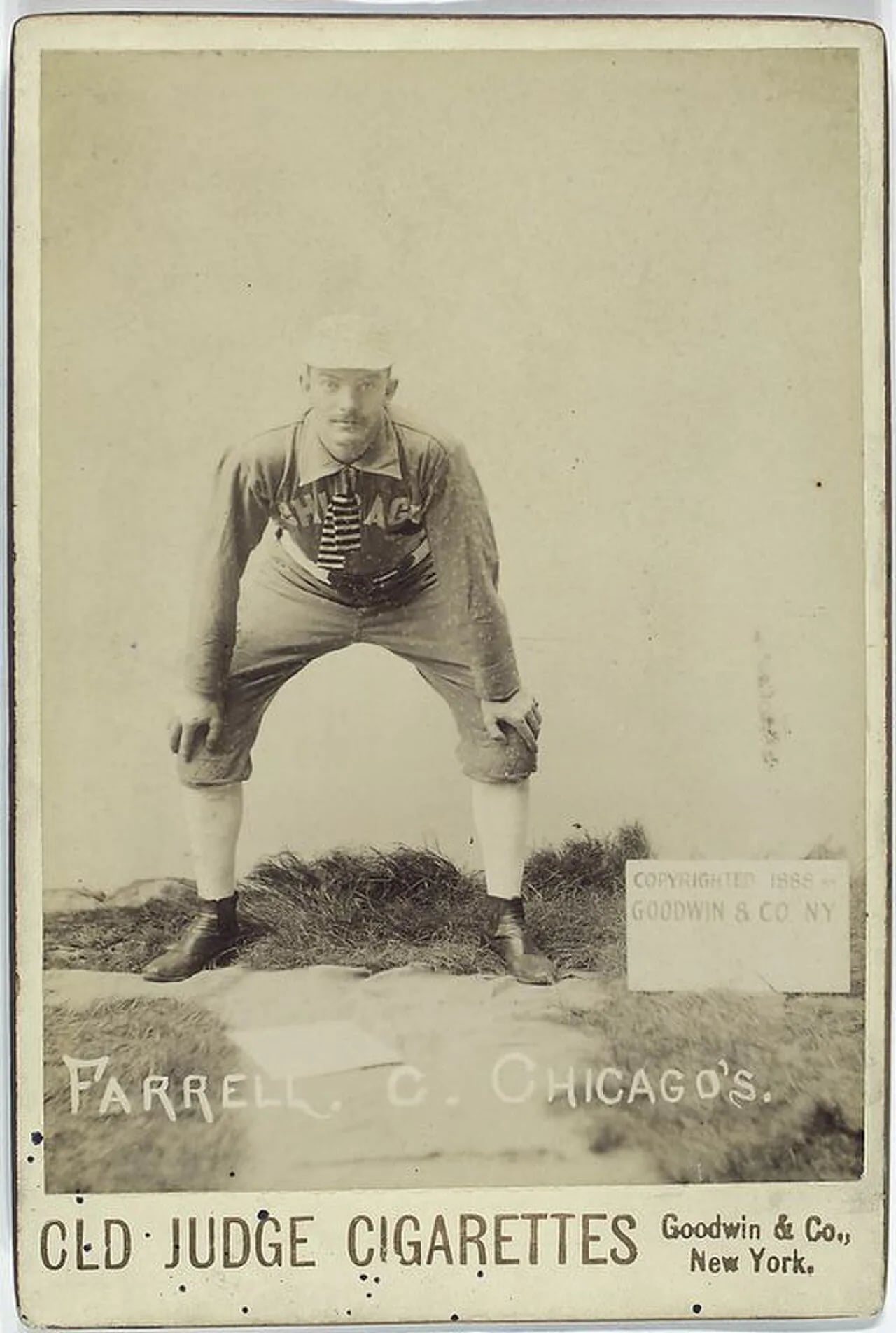 Porträt von Duke Farrell (1866–1925) – Gedenkseite