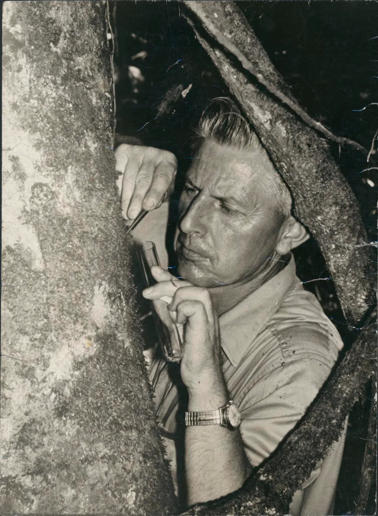 Porträt von Edward Shearman Ross (1915–2016) – Gedenkseite