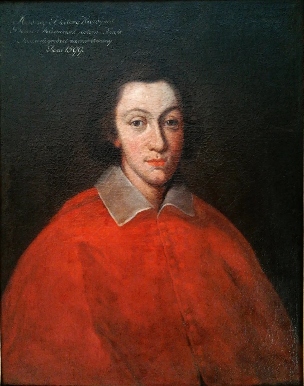 Portrait of Johann Albert Wasa (1612–1634) – memorial page