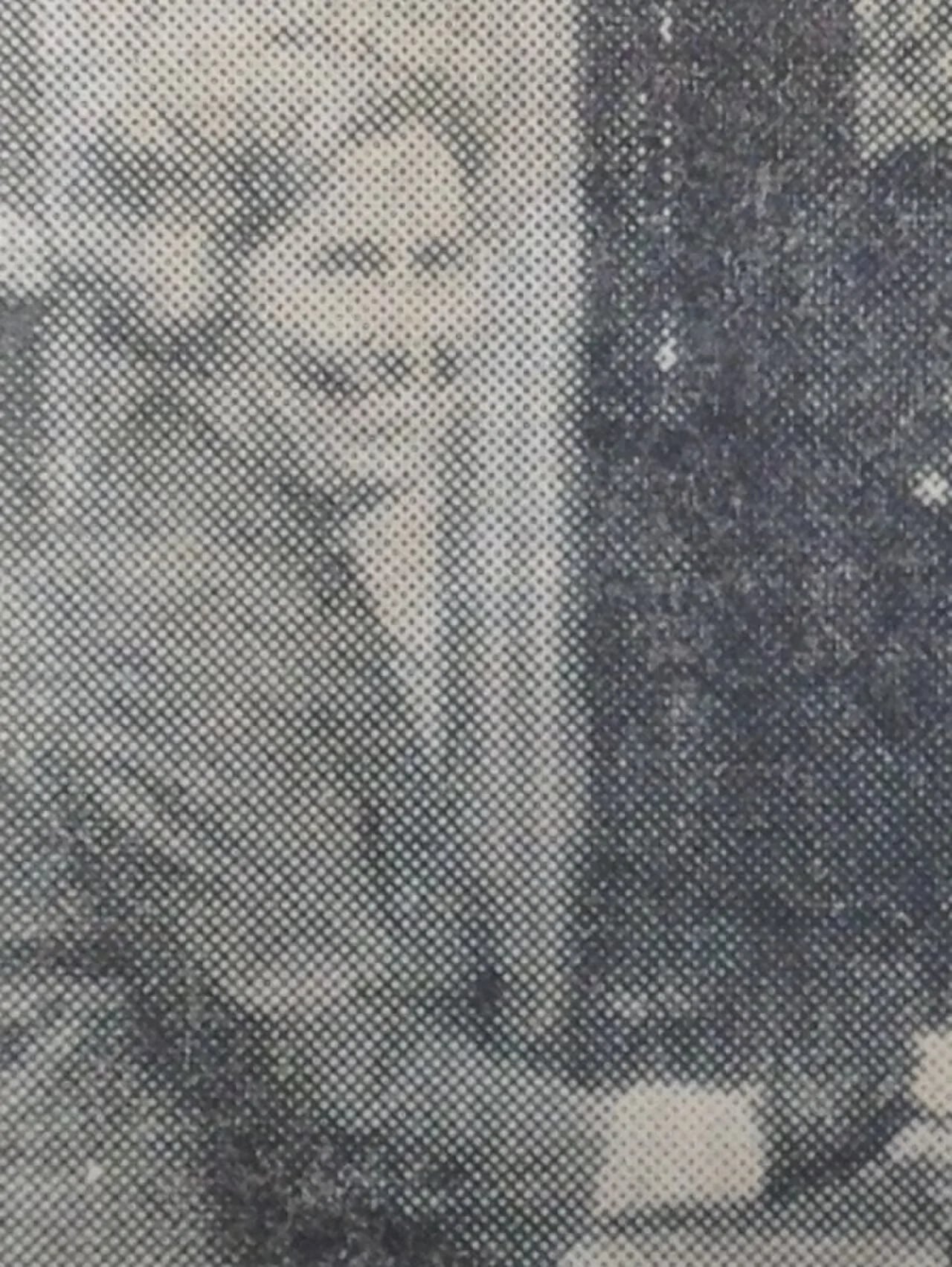 Portrait of Elsie Tu (1913–2015) – memorial page