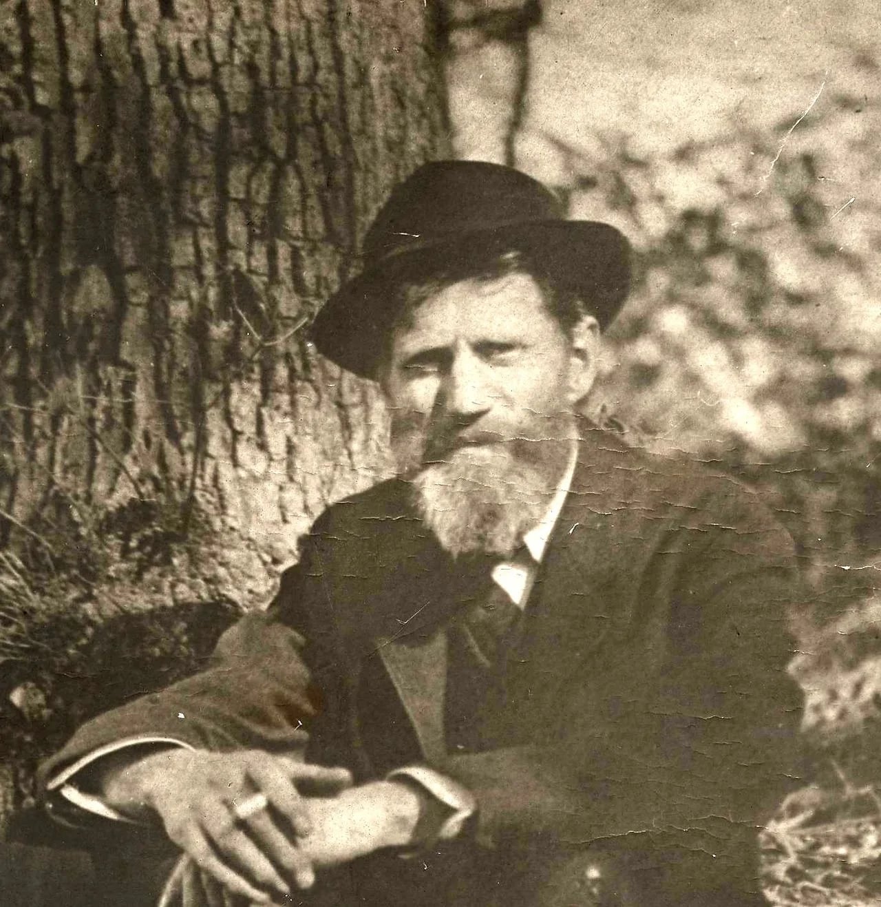 Portrait of Emil Carlsen (1848–1932) – memorial page