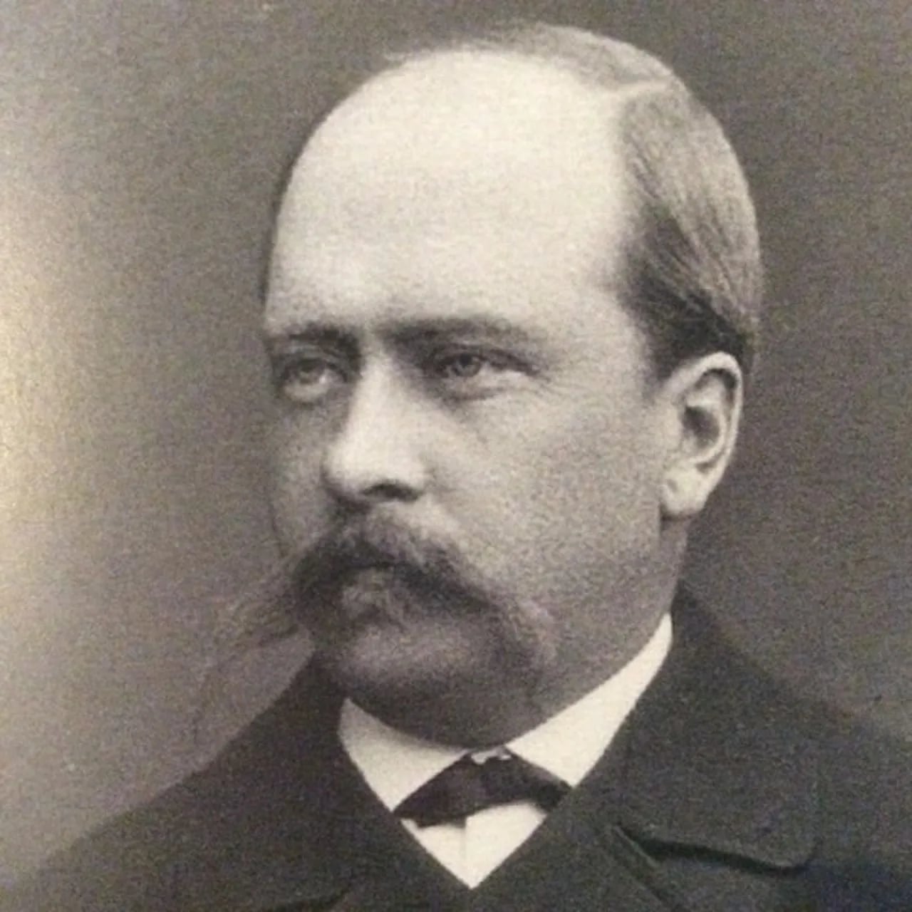 Porträt von Johan Albert Edvard von Julin (1846–1906) – Gedenkseite