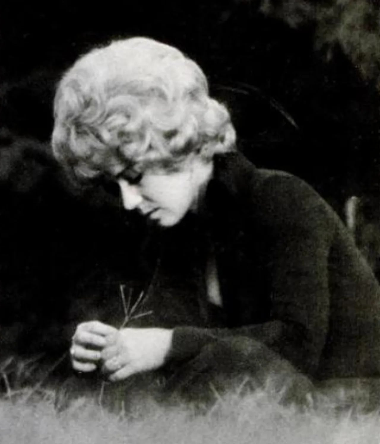 Porträt von Sammi Smith (1943–2005) – Gedenkseite