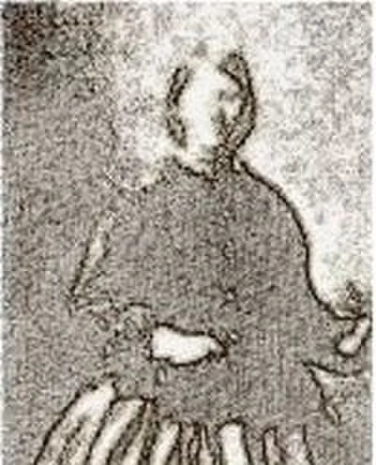 Porträt von Mercedes Neira y Ortiz (1847–1942) – Gedenkseite