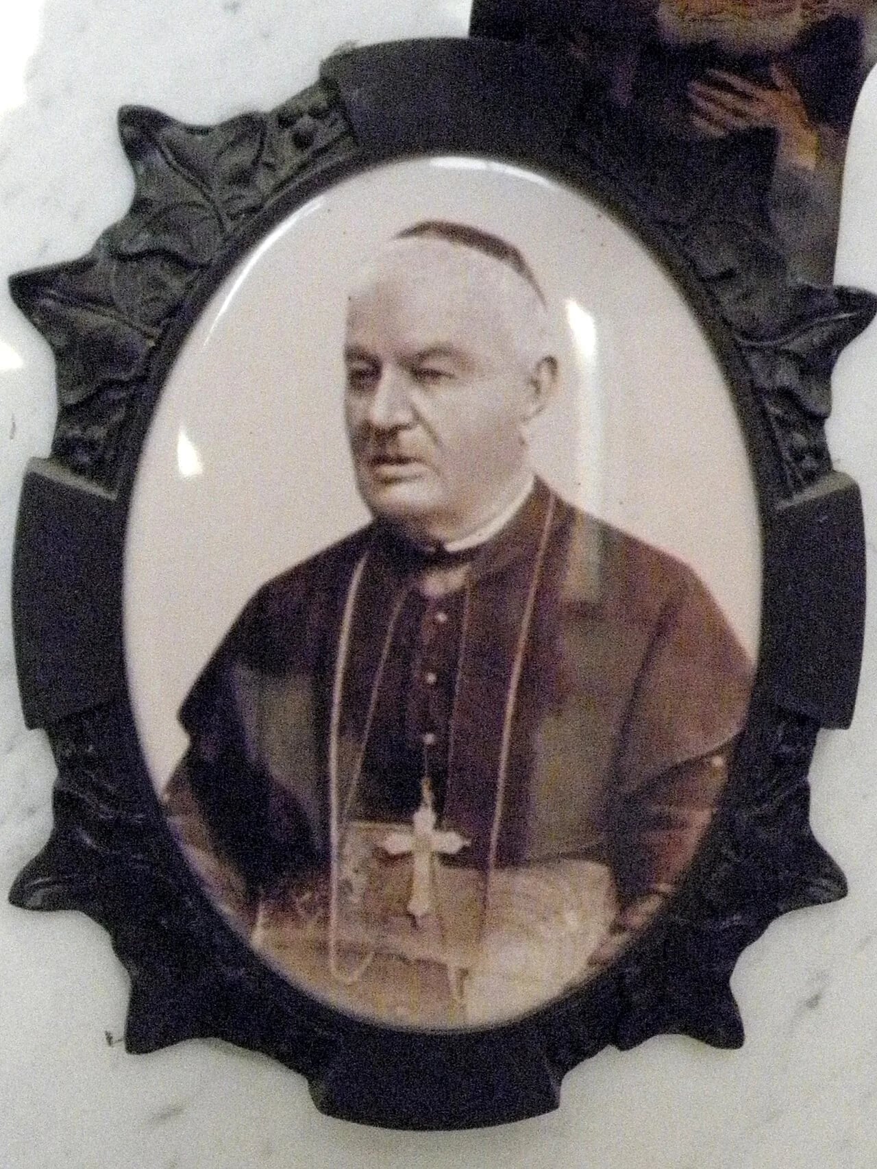 Portrait of Antonio Polin (1825–1908) – memorial page