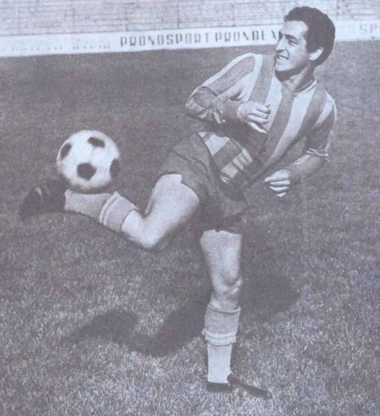 Portrait of Gabriel Raksi (1938–2002) – memorial page