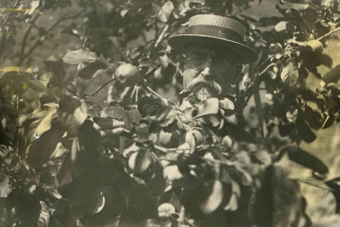 Porträt von Dmitri Iwanowitsch Kasanzew (1875–1942) – Gedenkseite
