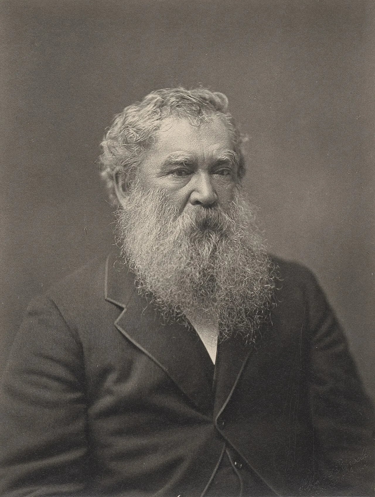 Portrait of George Fuller (1822–1884) – memorial page