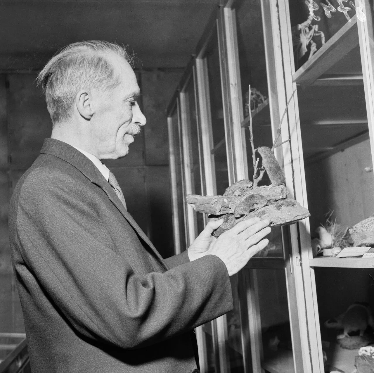 Portrait of Kaarlo Metsävainio (1890–1962) – memorial page