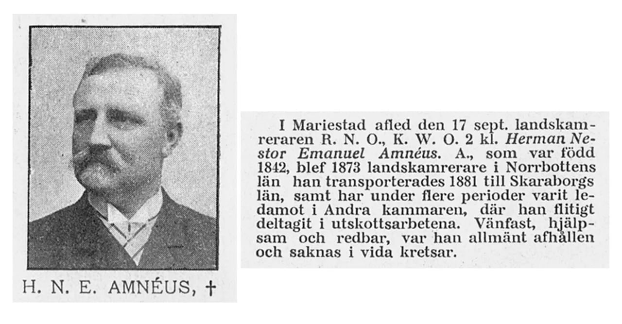 Porträt von Herman Amnéus (1842–1901) – Gedenkseite