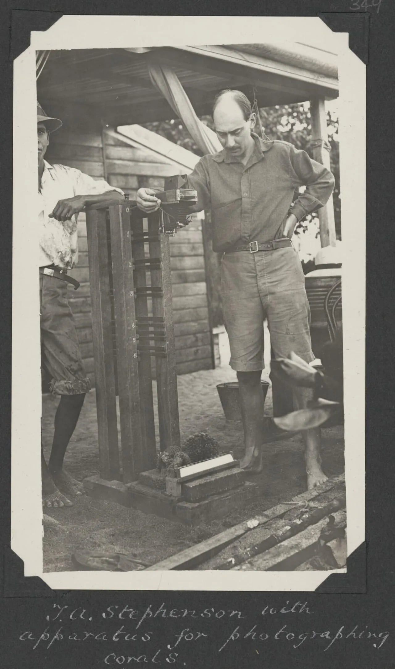 Portrait of Thomas Alan Stephenson (1898–1961) – memorial page