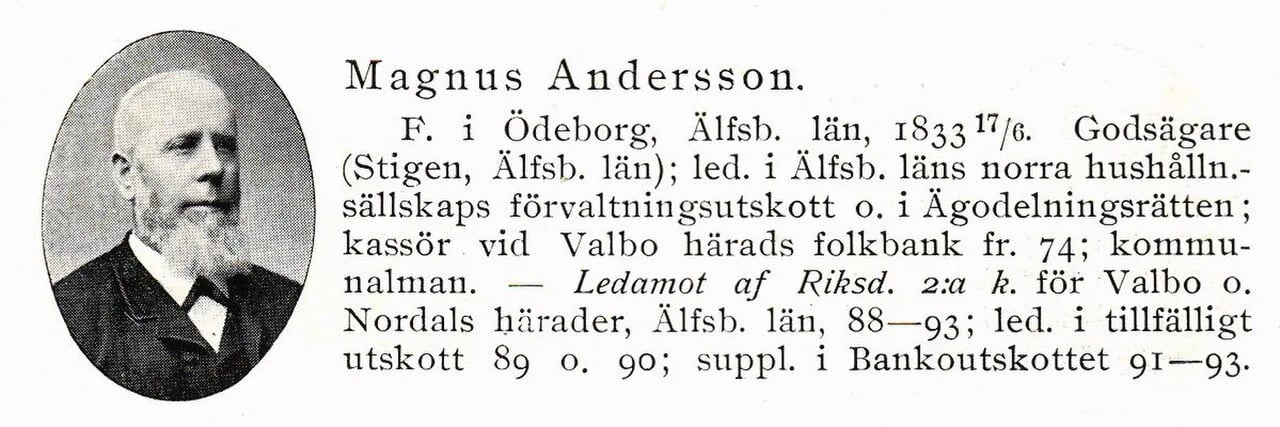 Porträt von Magnus Andersson i Stigen (1833–1906) – Gedenkseite