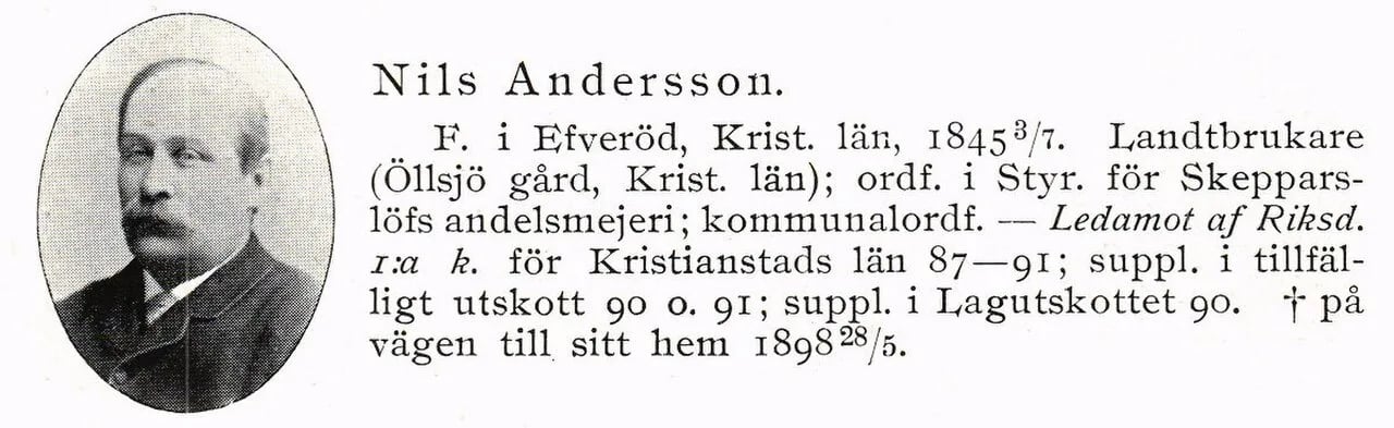 Porträt von Nils Andersson (1845–1898) – Gedenkseite