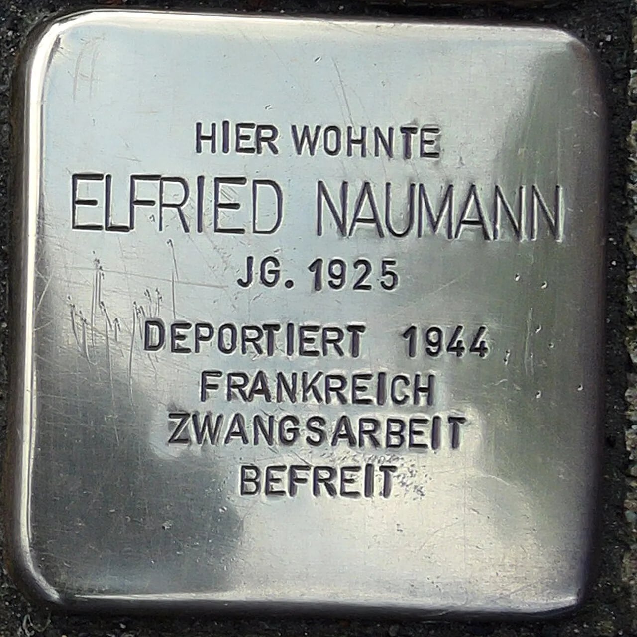 Porträt von Elfried Naumann (1925–2012) – Gedenkseite