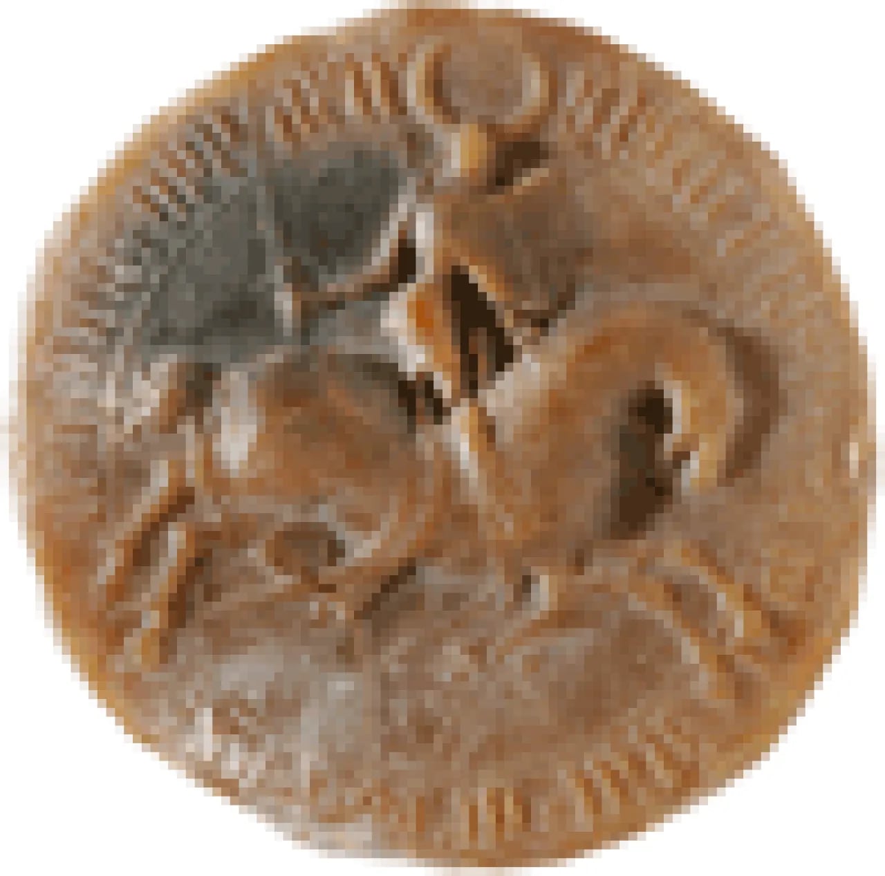 Porträt von Přemysl I. (1365–1433) – Gedenkseite