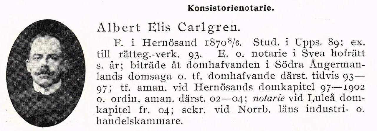 Portrait of Albert Carlgren (1870–1933) – memorial page