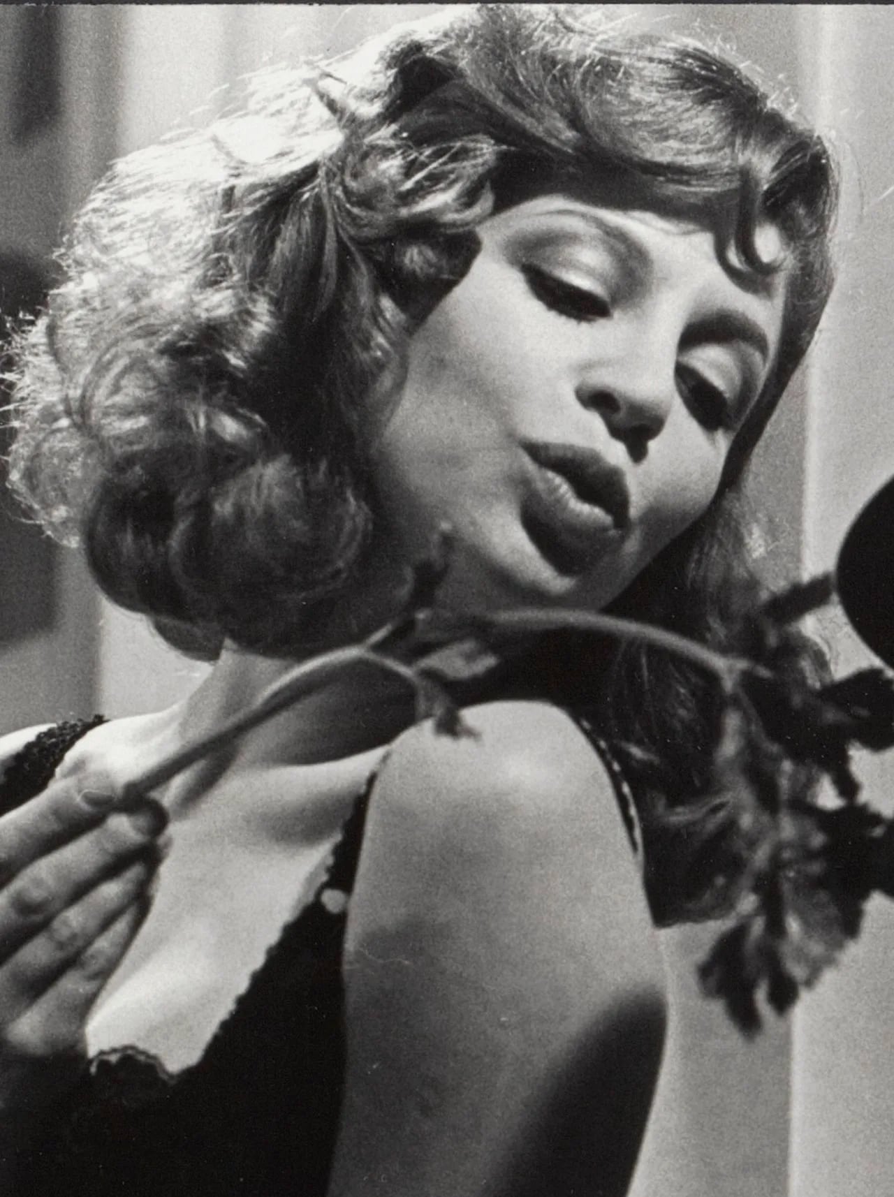 Porträt von Eva Kant (1944–2018) – Gedenkseite