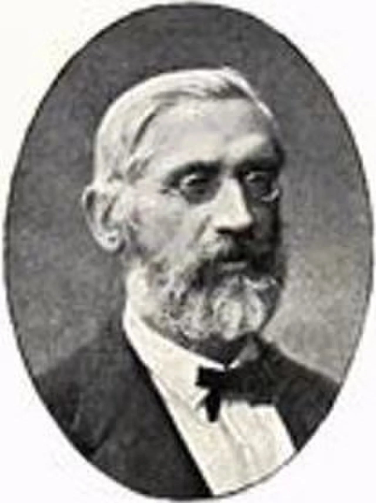 Porträt von Carl Axel Dellwik (1829–1897) – Gedenkseite
