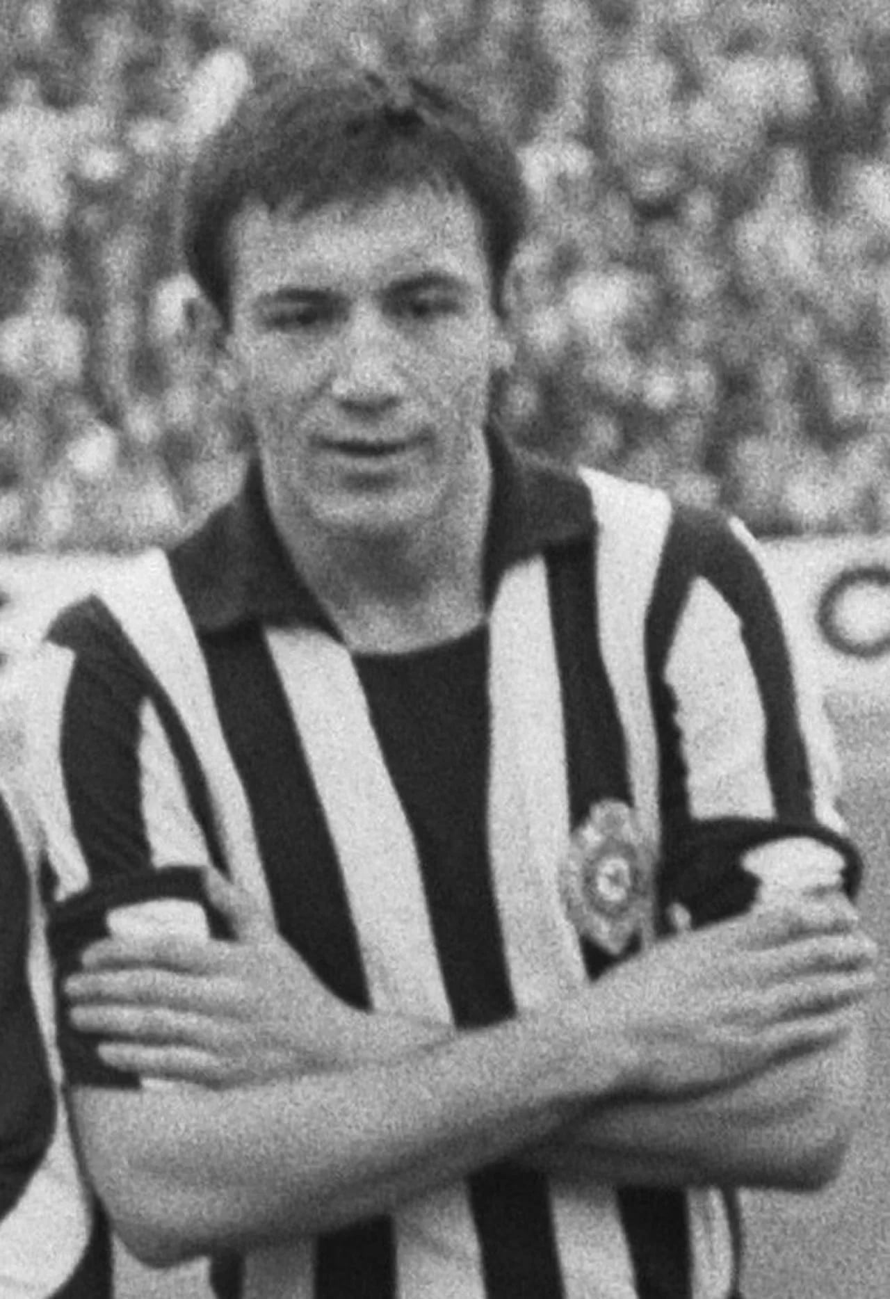 Porträt von Branko Rašović (1942–2024) – Gedenkseite